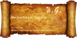 Weinstein Gyula névjegykártya